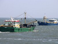 NL, Noord-Holland, Texel, Oosterend 2, Mytilus edulis, Saxifraga-Foto Fitis-Sytske Dijksen