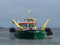 NL, Noord-Holland, Texel, Oosterend 4, Mytilus edulis, Saxifraga-Foto Fitis-Sytske Dijksen