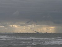 NL, Zuid-Holland, Rotterdam, Maasvlakte 1, Saxifraga-Bart Vastenhouw