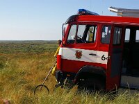 NL, Noord-Holland, Texel, Loodsmansduin 2, Saxifraga-Foto Fitis-Sytske Dijksen