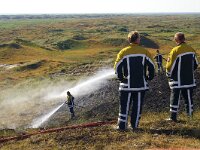 NL, Noord-Holland, Texel, Loodsmansduin 5, Saxifraga-Foto Fitis-Sytske Dijksen