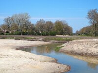 NL, Drenthe, Borger-Odoorn, Flessenhals Voorste Diep 1, Saxifraga-Hans Dekker