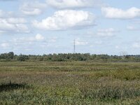 NL, Noord-Brabant, Drimmelen, Middelste Gat van het Zand, Polder De Plomp 2, Saxifraga-Willem van Kruijsbergen