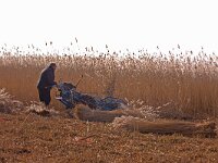 Rietmaaien  Rietmaaien Wolderwijd kust
