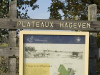 B, Limburg, Neerpelt, Hageven, De Wulp 1, Saxifraga-Jan van der Straaten