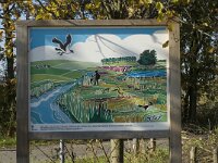 B, Limburg, Neerpelt, Hageven, De Wulp 2, Saxifraga-Jan van der Straaten