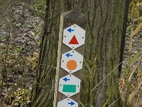 B, Limburg, Neerpelt, Hageven, Dommel 16, Saxifraga-Jan van der Straaten