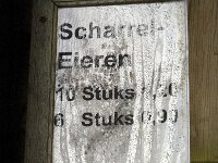 NL, Noord-Brabant, Oirschot, De Mortelen 34, Saxifraga-Jan van der Straaten