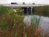 NL, Drenthe, Noordenveld, Ecobrug Peizermaden 1, Saxifraga-Hans Dekker