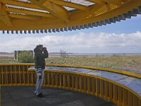 NL, Noord-Holland, Hollands Kroon, Wieringen wad 2, Saxifraga-Foto Fitis-Sytske Dijksen