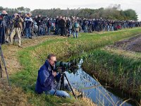 NL, Noord-Holland, Texel 55, Saxifraga-Foto Fitis-Sytske Dijksen