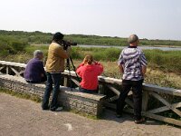 NL, Noord-Holland, Texel, Geul 2, Saxifraga-Foto Fitis-Sytske Dijksen