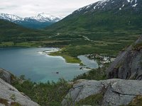N, Troms, Kaefjord, Gullesfjordbotn 17, Saxifraga-Hans Dekker