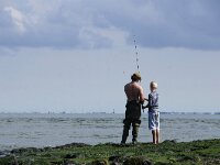 NL, Noord-Holland, Texel, Horntje 1, Saxifraga-Foto Fitis-Sytske Dijksen