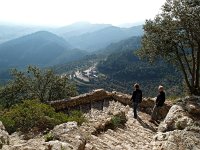 E, Mallorca, Alaro, Castel d Alaro 18, Saxifraga-Hans Dekker