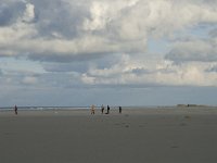 NL, Friesland, Terschelling, West aan Zee 1, Saxifraga-Jan van der Straaten