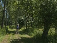 NL, Noord-Brabant, Aalburg, Pompveld 22, Saxifraga-Jan van der Straaten