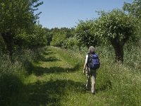 NL, Noord-Brabant, Aalburg, Pompveld 23, Saxifraga-Jan van der Straaten