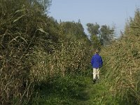 NL, Noord-Brabant, Werkendam, Kornsche Boezem 9, Saxifraga-Jan van der Straaten