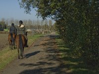 Horse riding-Paardrijden
