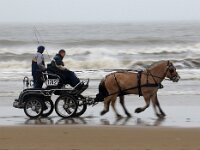NL, Zuid-Holland, Noordwijk 1, Saxifraga-Foto Fitis-Sytske Dijksen