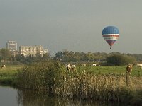 NL, Noord-Brabant, 's Hertogenbosch, Bossche Broek 4, Saxifraga-Jan van der Straaten