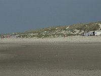 NL, Noord-Holland, Texel, Paal 28 11, Saxifraga-Willem van Kruijsbergen