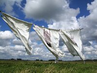 NL, Flevoland, Noordoostpolder, Schokland 4, Saxifraga-Foto Fitis-Sytske Dijksen