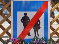 A, Salzburg, Abtenau 3, Saxifraga-Foto Fitis-Sytske Dijksen