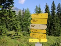 A, Salzburg, Rauris 12, Saxifraga-Foto Fitis-Sytske Dijksen