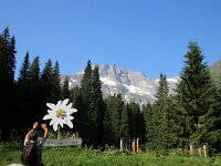 A, Salzburg, Rauris, Kolm Saigurn 1, Saxifraga-Foto Fitis-Sytske Dijksen