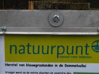 B, Limburg, Peer, Neerhoksent, Natuurpunt 1, Saxifraga-Jan van der Straaten