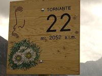 I, Trentino-Sued Tirol, Stelvio National Park, Passo dello Stelvio 7, Saxifraga-Jan van der Straaten