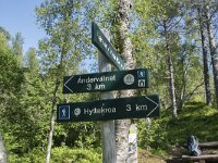N, Troms, Senja, Anderdalen Nat Park 28, Saxifraga-Willem van Kruijsbergen