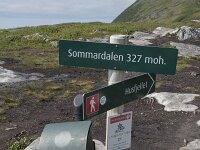 N, Troms, Senja, Skaland, Sommardalen 14, Saxifraga-Willem van Kruijsbergen