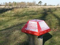 NL, Friesland, Appelscha, Aekingerzand 1, Saxifraga-Foto Fitis-Sytske Dijksen