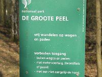 NL, Limburg, Nederweert, Groote Peel 3, Saxifraga-Jan van der Straaten