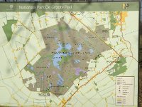 NL, Limburg, Nederweert, Groote Peel 4, Saxifraga-Jan van der Straaten