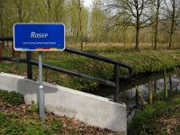 NL, Noord-Brabant, Oisterwijk, Logtsche Heide, Rosep 3, Saxifraga-Marijke Verhagen