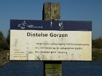 NL, Noord-Brabant, Steenbergen, Dintelse Gorzen 1, Saxifraga-Jan van der Straaten