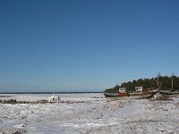 EST, Saaremaa, Tagamoisa hoiuala, 1, Saxifraga-Bart Vastenhouw