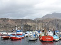 E, Las Palmas, Agaete, Puerto de las Nieves 7, Saxifraga-Tom Heijnen