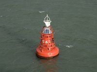 NL, Friesland, Terschelling, Waddenzee 2, Saxifraga-Jan van der Straaten