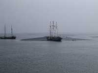 NL, Friesland, Vlieland, Wad 2, Saxifraga-Hans Boll