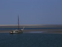 NL, Friesland, Vlieland, Wad 3, Saxifraga-Hans Boll