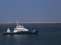 NL, Friesland, Vlieland, Wad 4, Saxifraga-Hans Boll