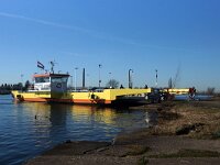 NL, Gelderland, Tiel, Waal 1, Saxifraga-Foto Fitis-Sytske Dijksen