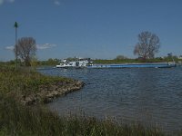 NL, Noord-Brabant, 's-Hertogenbosch, De Koornwaard 46, Saxifraga-Jan van der Straaten