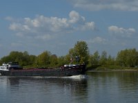 NL, Noord-Brabant, 's-Hertogenbosch, Empelse Waard 10, Saxifraga-Marijke Verhagen