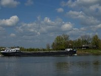 NL, Noord-Brabant, 's-Hertogenbosch, Empelse Waard 16, Saxifraga-Marijke Verhagen